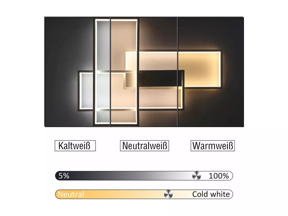 NETTLIFE Plafonnier LED Dimmable Moderne Lampe de salon Plafonnier blanc 65W