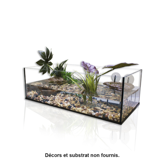 Terrarium en verre 