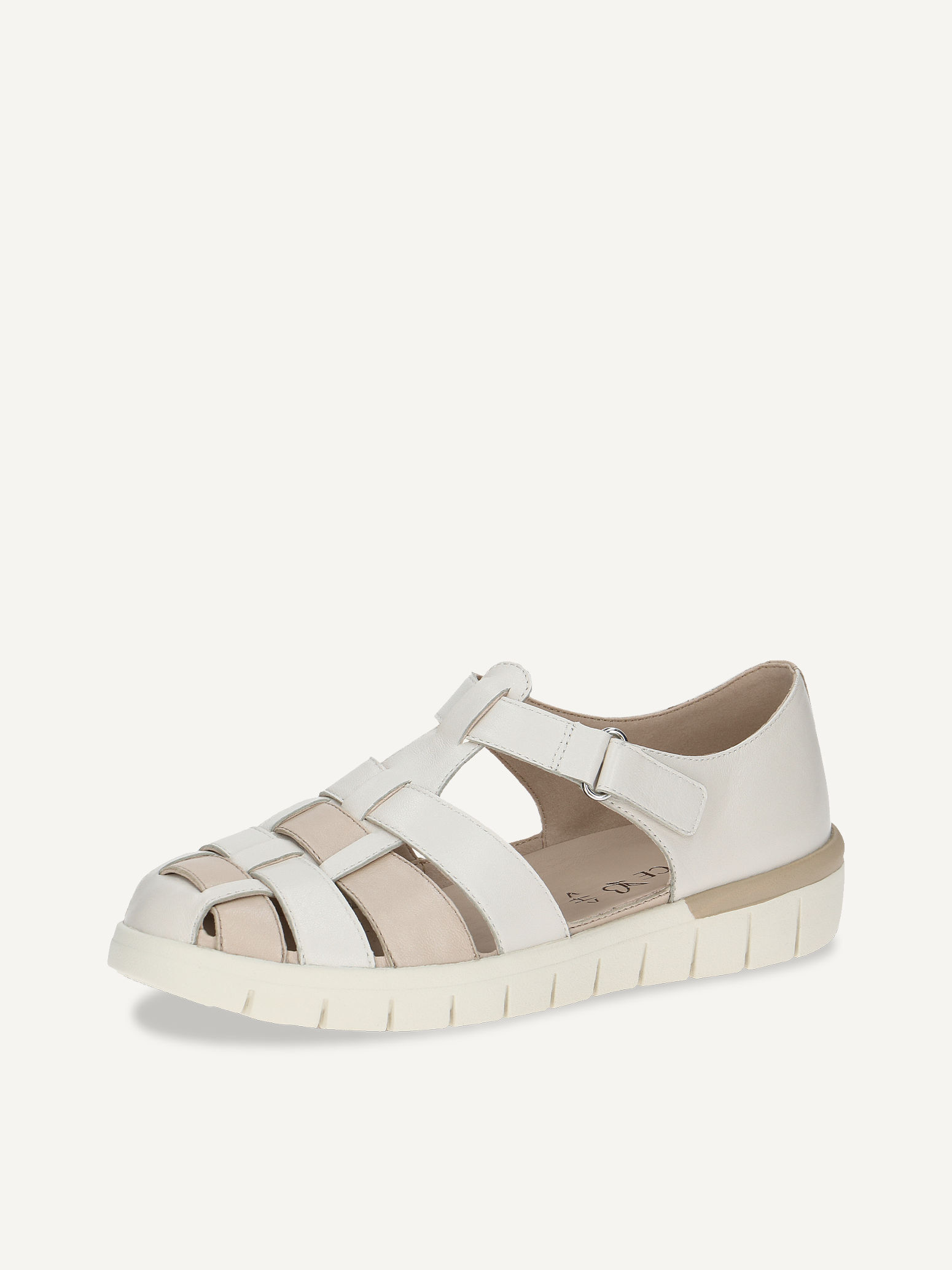 Slipper