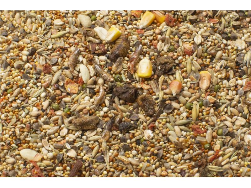 JR Farm Hauptfutter Basic Hamster-Schmaus, 600 g Alleinfuttermittel für Hamster
