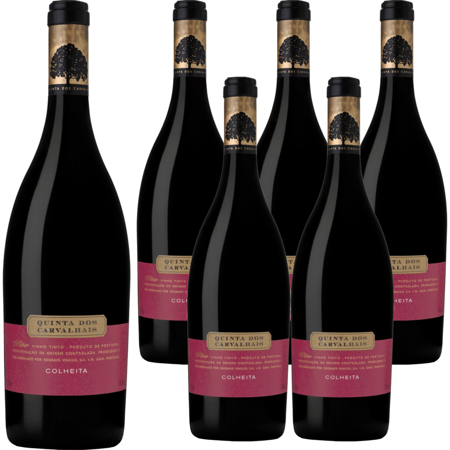 Dão DOC Colheita Quinta dos Carvalhais 6x 75cl -6x 75cl