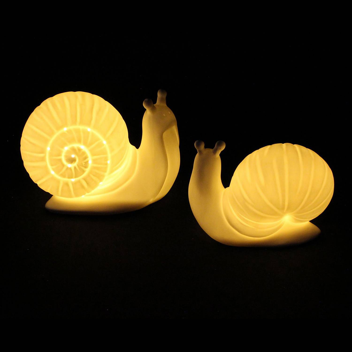 Frank Flechtwaren LED-Deko 