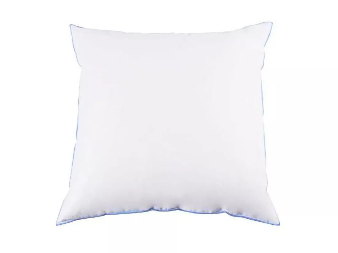 Lot de 2 oreillers moelleux duvet de canard anti-allergènes Someo 65x65