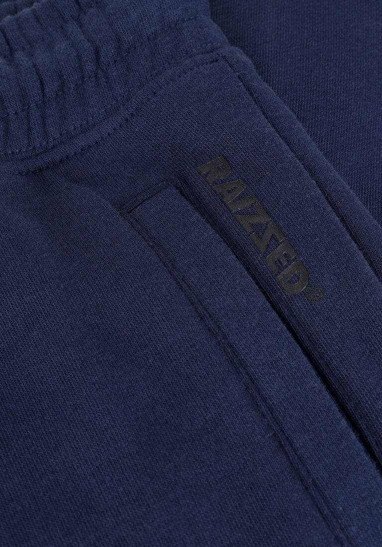 RAIZZED blauwe raizzed joggingbroek shelby