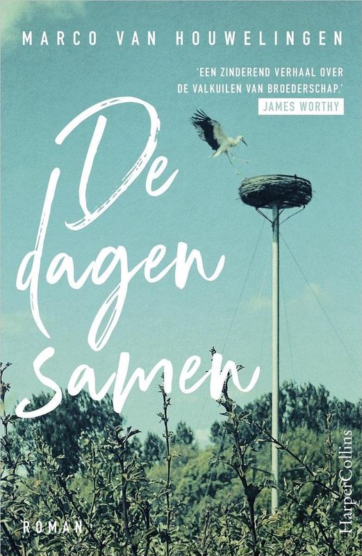 Roman - Over Vriendschap en Broederschap - Literatuur