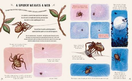Slow Down: Bring Calm to a Busy World with 50 Nature Stories (Hardback)