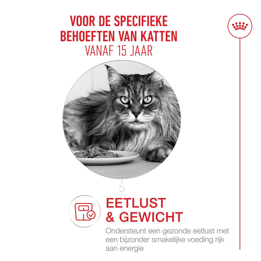 Royal Canin Ageing 15  - Kattenvoer - 1 Gram