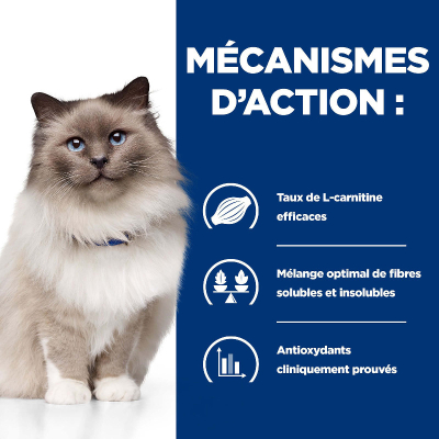 Hill's VET Katze Prescription Diet r/d Weight Loss 3kg