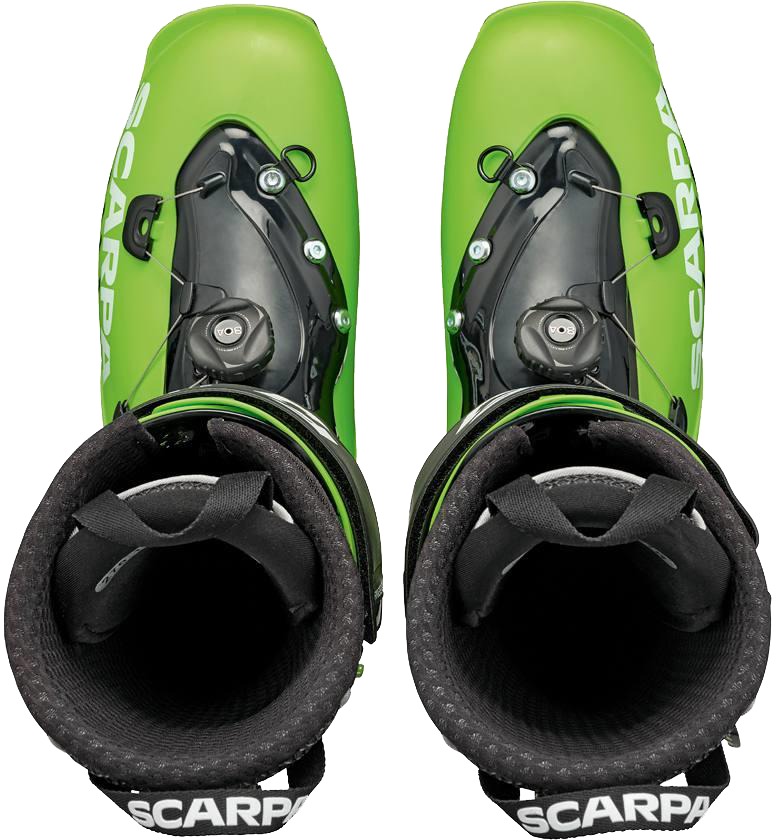 F1 Junior Green Lime