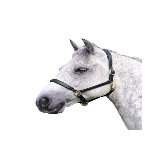 Cabresto de couro Blenheim Ragley para cavalos