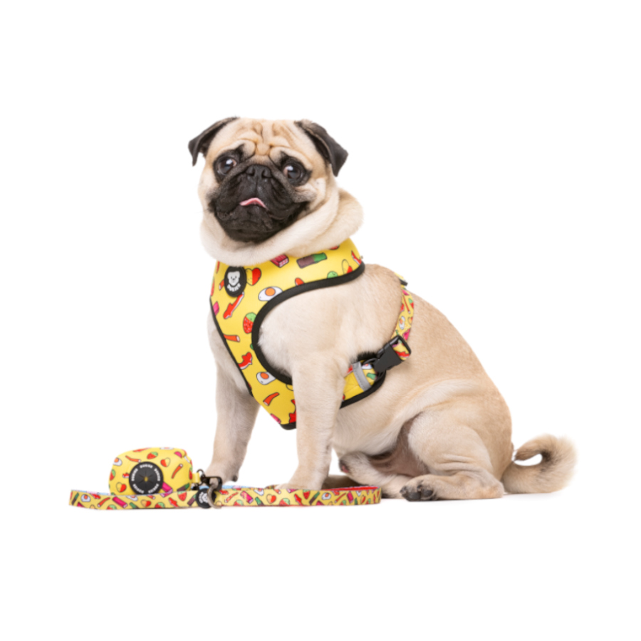 Coleira para cães Dukier Sweets