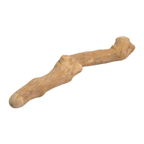 Bunny Nature Interactive Coffeewood