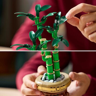 LEGO Botanicals 10344 Lykkebambus