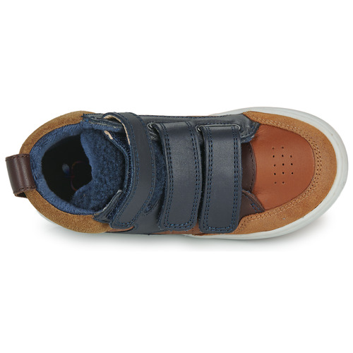 Shoo Pom - TEAMS JOG SCRATCH FUR - Marron / Bleu