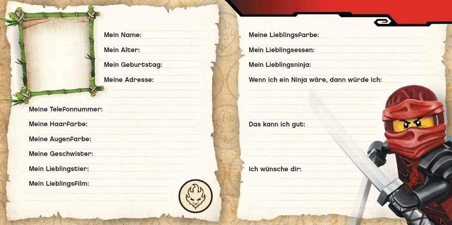 LEGO® NINJAGO – Meine besten Freunde