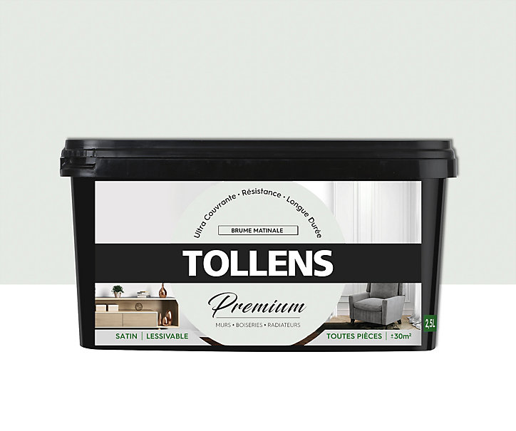 Peinture Tollens premium murs, boiseries et radiateurs brume matinale satin 2,5L