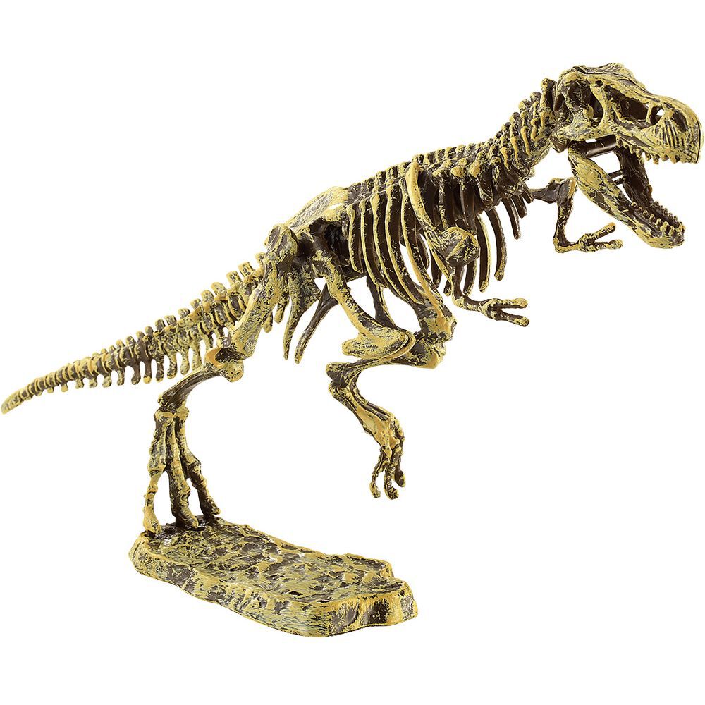 Kit dinosaure + outils d'excavation