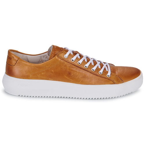 Blackstone - ZG18 - Camel