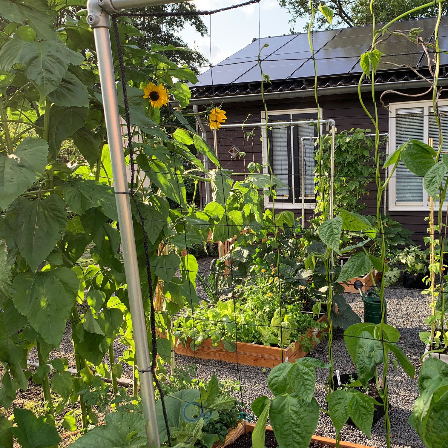 Makkelijke moestuin voeding 1 kg