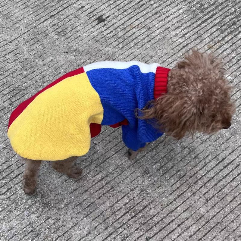 Everlupid - Color Block Pet gebreide top