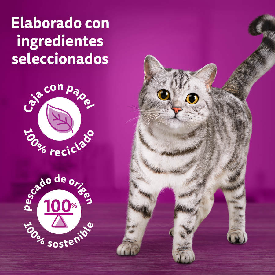 Sachês Whiskas Tasty Mix Country em Molho para Gatos - Pacote com 12