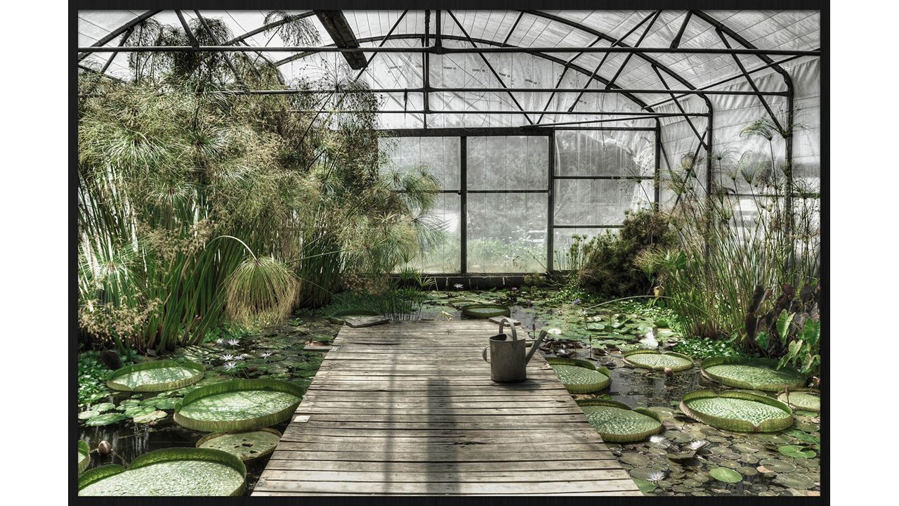 Wanddecoratie Botanical stories 014