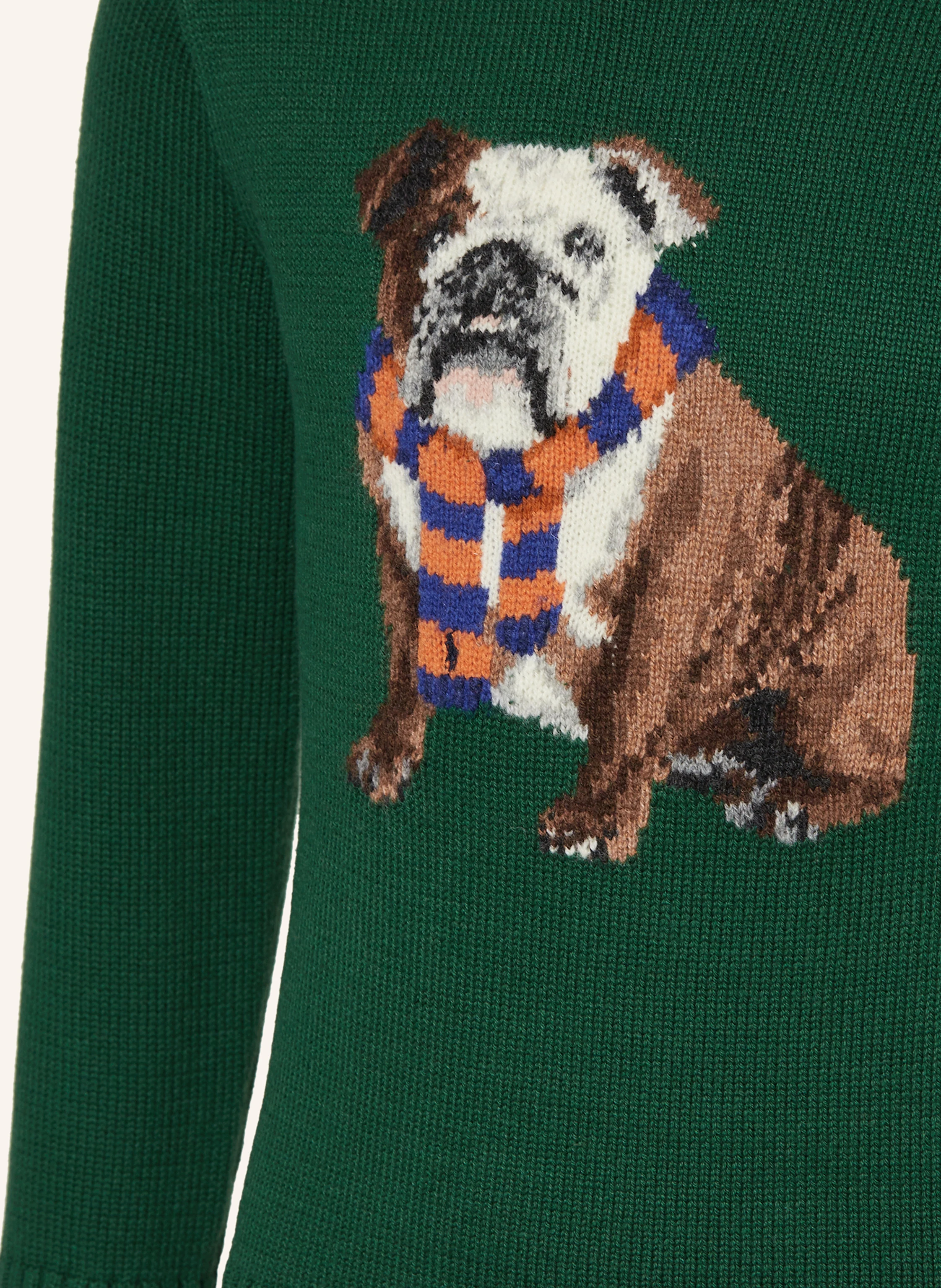 POLO RALPH LAUREN Pullover