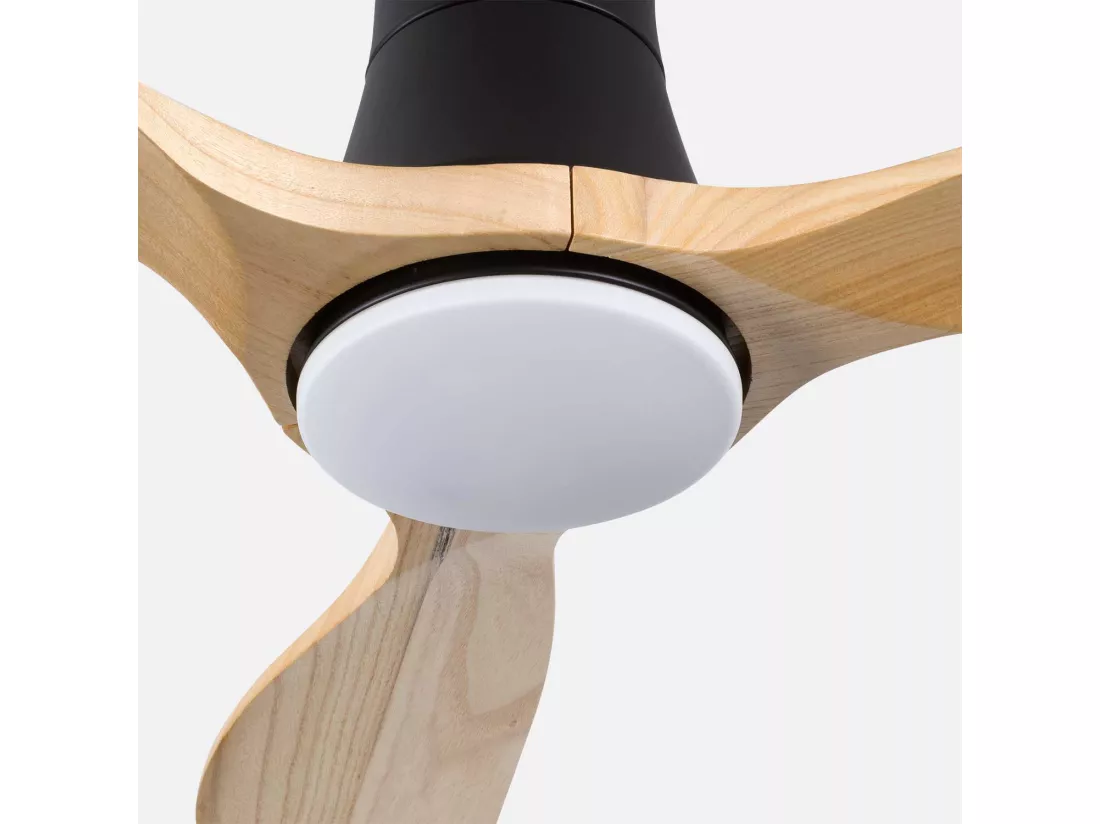 Ventilateur de plafond avec lumière 3 pales 56W 6 vitesses Dakota Dayron
