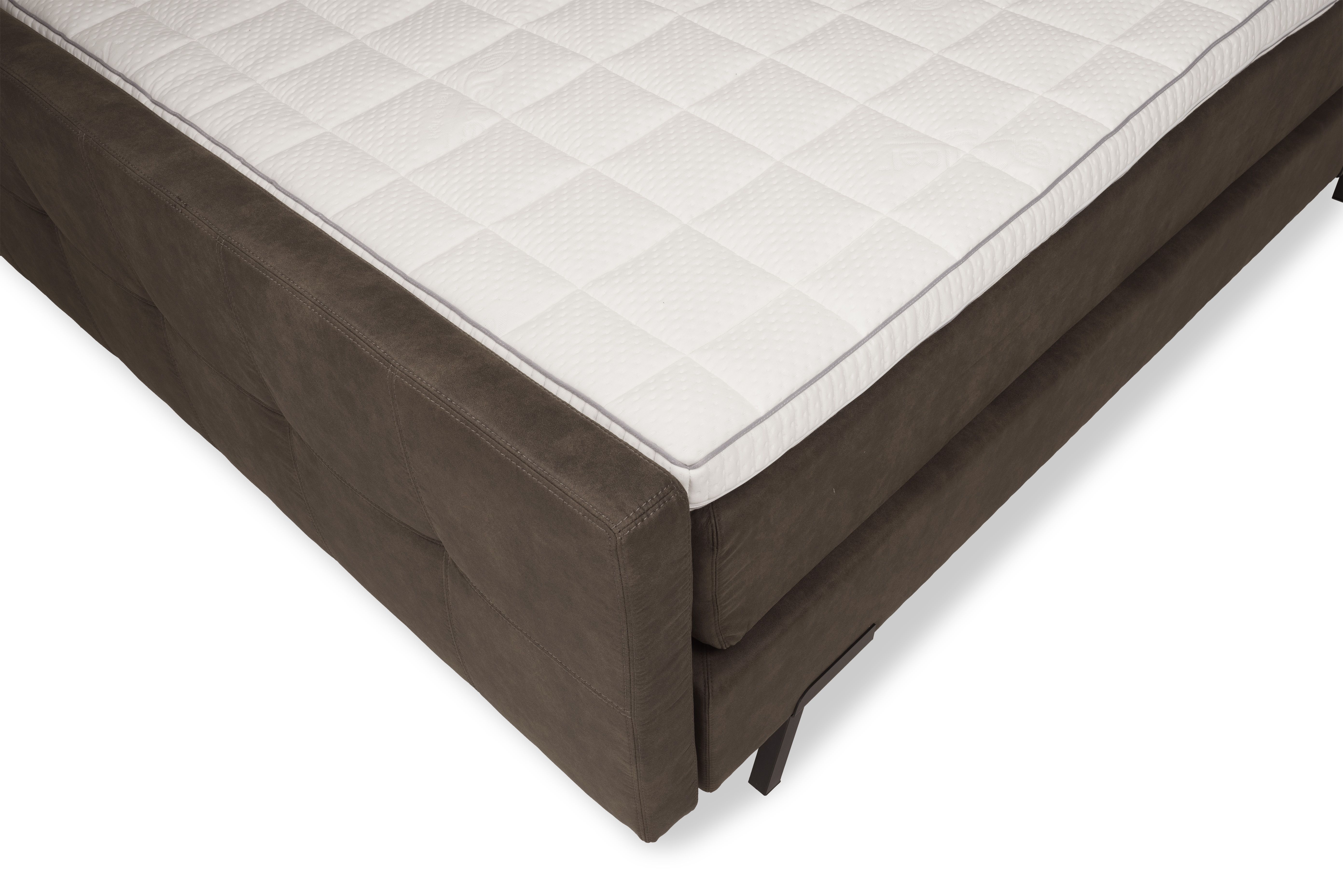 Boxspring Jungle Bolta