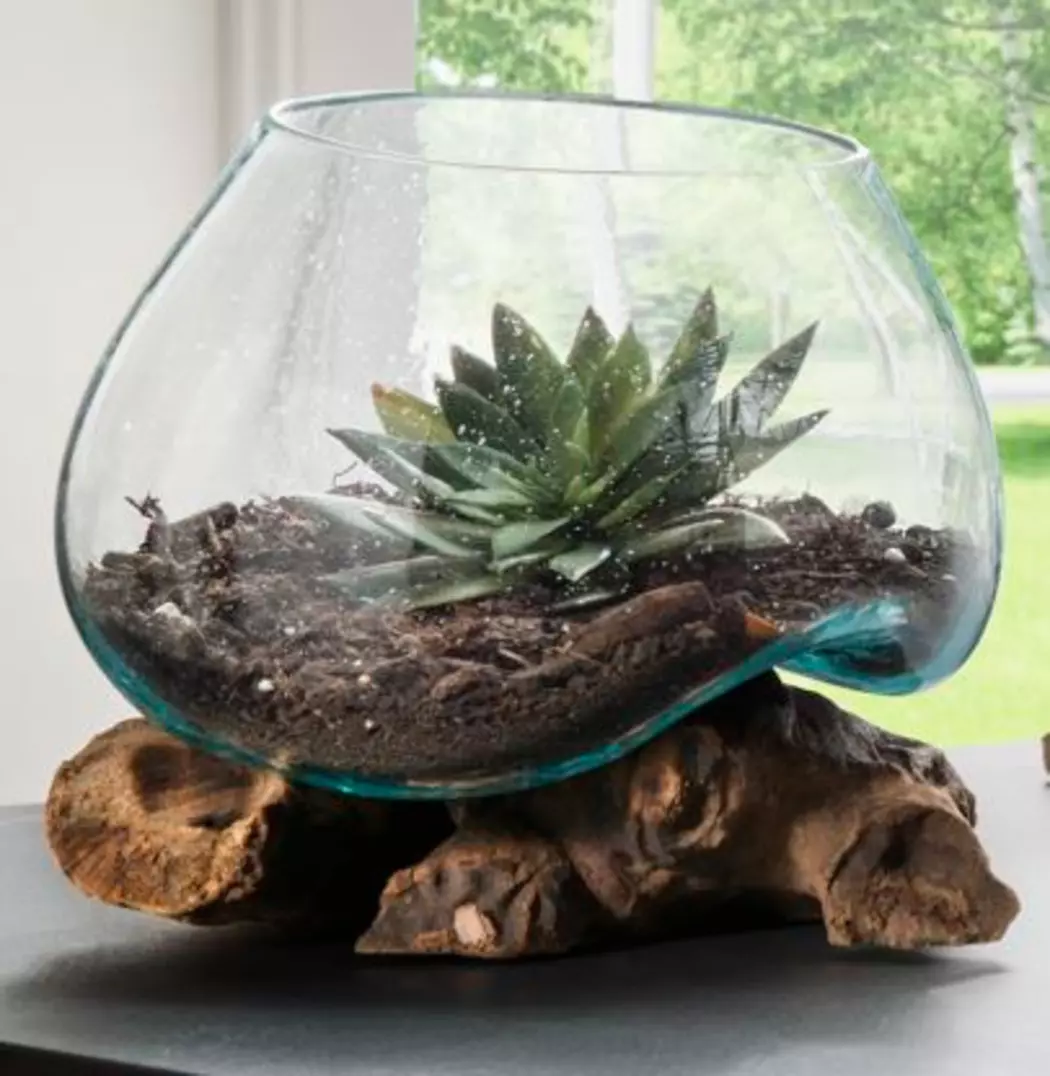Vase Dekowurzel