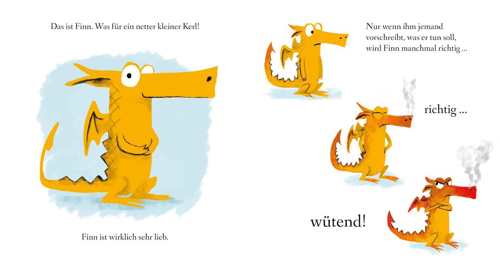 Kleiner Drache, große Wut / Kleiner Drache Finn Bd.1