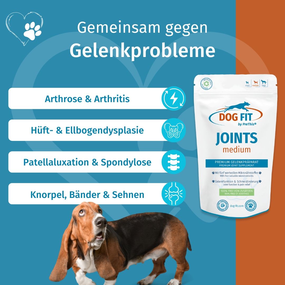DOG FIT by PreThis® JOINTS » Natürliches Gelenkpräparat für Hunde (medium)
