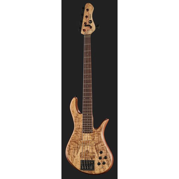 Torillo Shevette 5 Double Cut Spalted