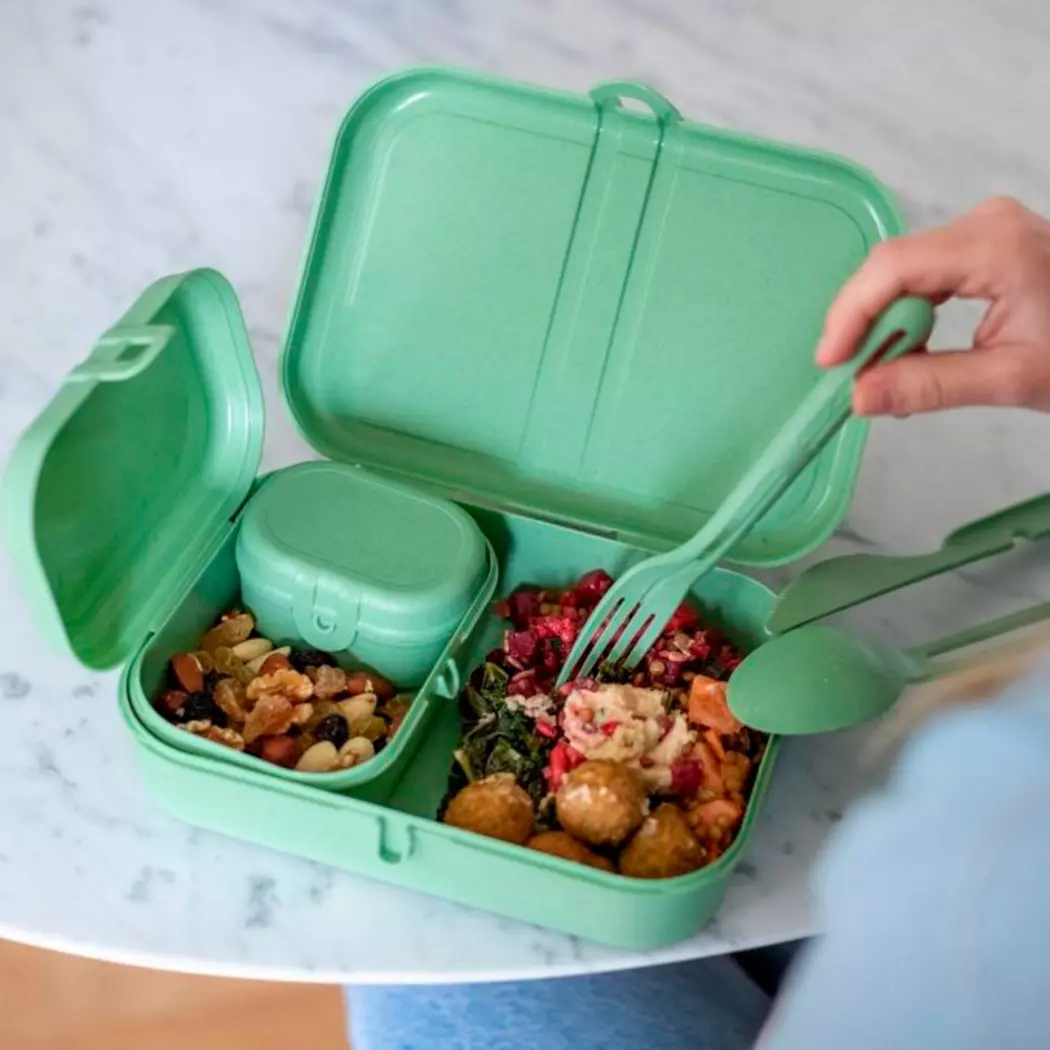 Lunchbox Pascal Ready 4tlg