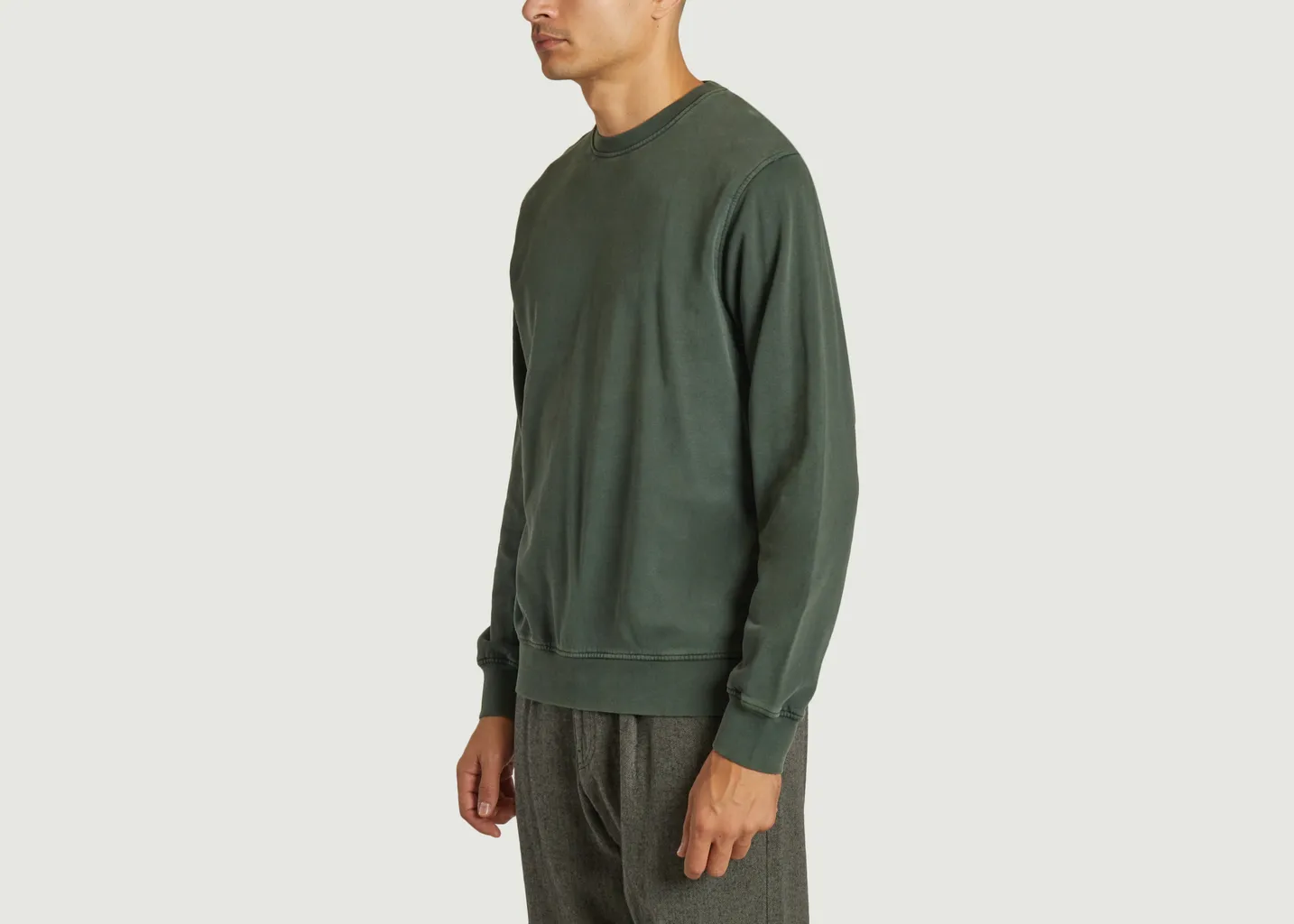 Classic Organic Crew Colorful Standard