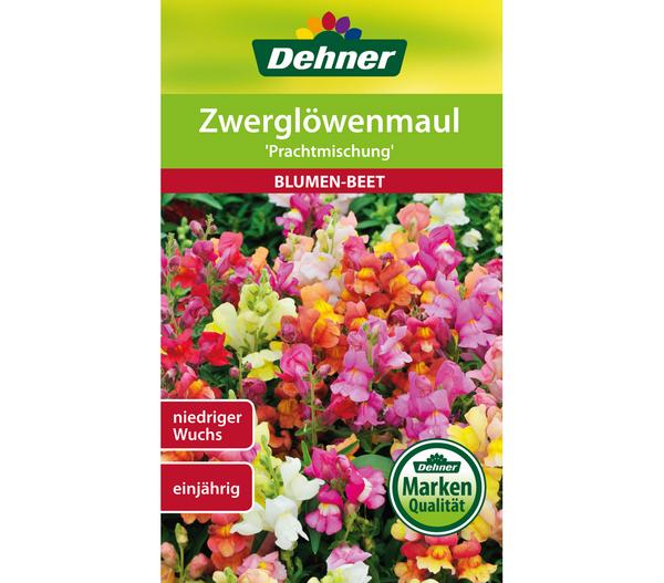 Dehner Samen Zwerglöwenmaul 'Prachtmischung'