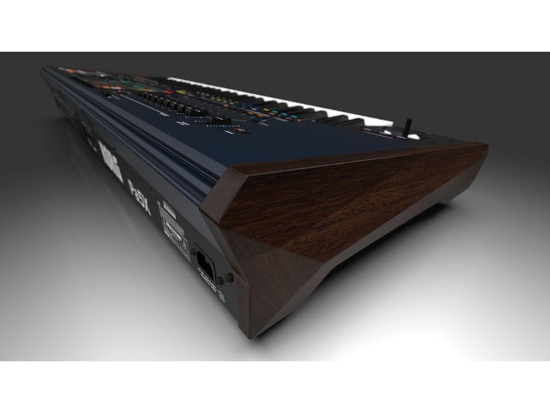 Korg Keyboard Pa5X 61 Musikant Keyboard mit 61 Tasten aus der Arranger-Serie