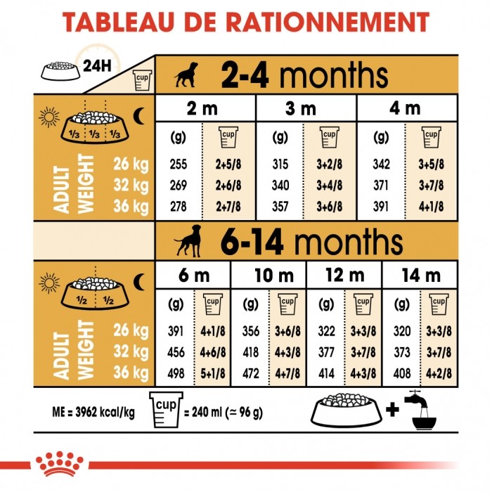 Royal Canin Boxer Puppy - Croquettes pour chiot
