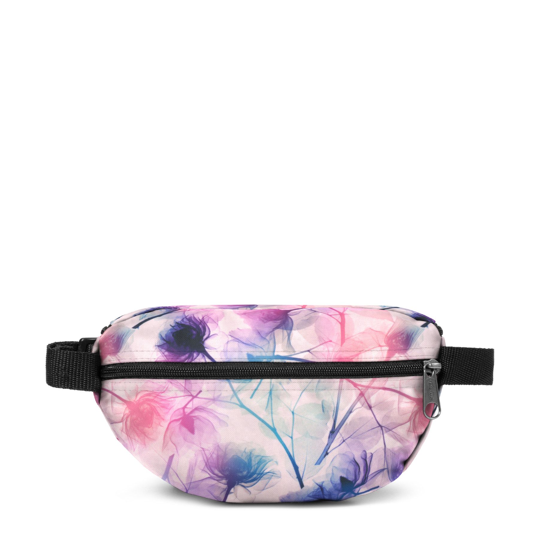 Springer Purple Ray