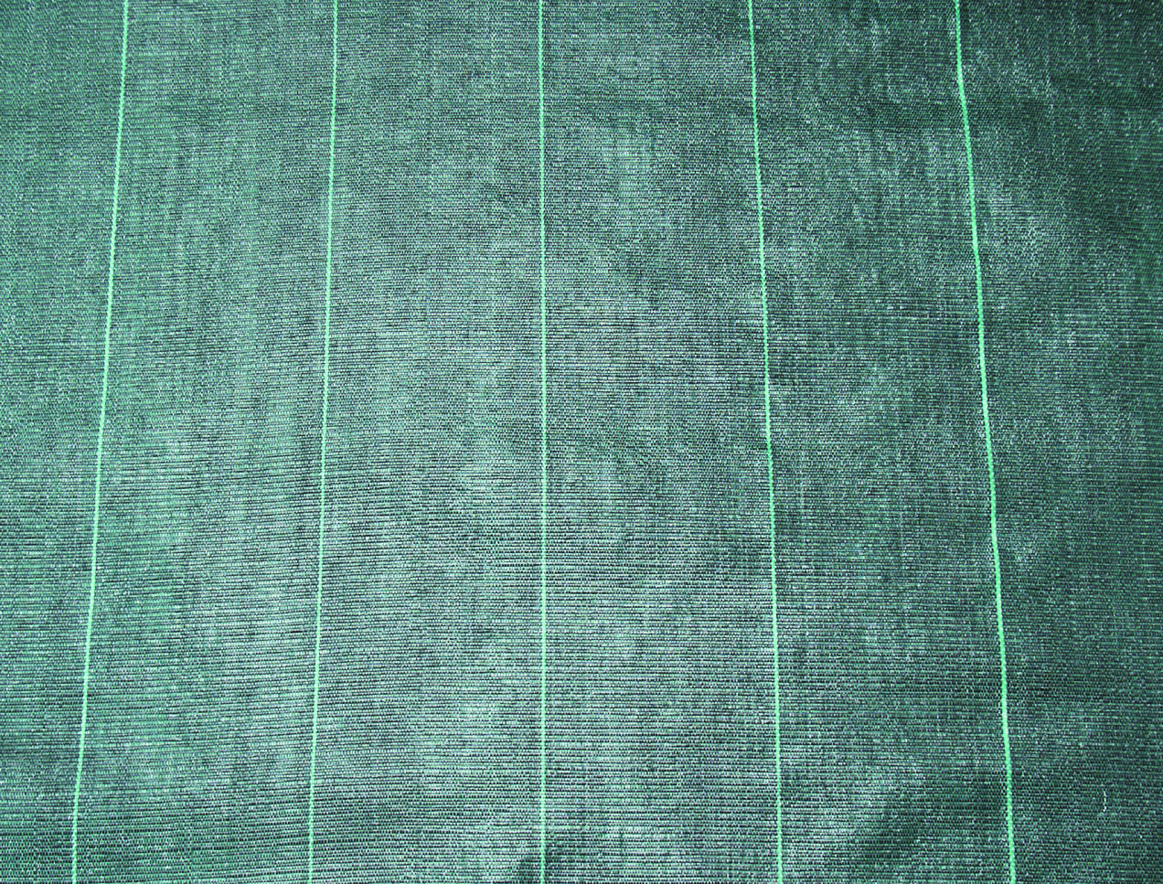 Nature - Gronddoek - 6x500x59.5 cm