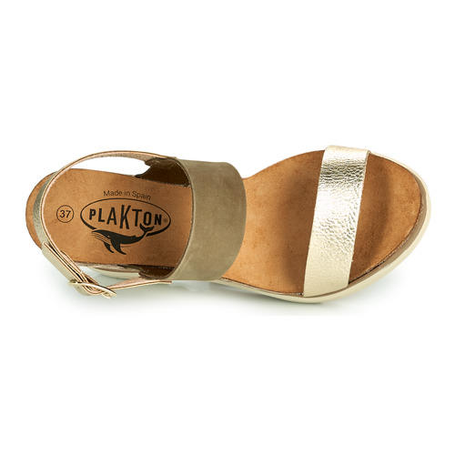 Plakton - PLAKA - Kaki / Doré