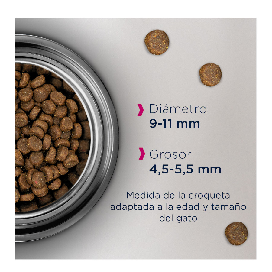 Ração para gatos adultos Eukanuba com frango e fígado