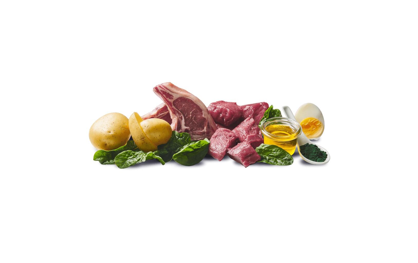 Nassfutter Dose Wild, Lamm Adult 200 gAlleinfuttermittel für ausgewachsene Hunde