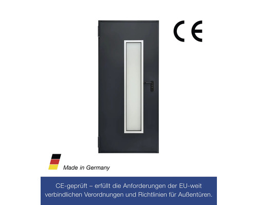 Hörmann multifunctionele kelderdeur met glaspaneel, RAL 7016 antracietgrijs, 1000x2000 mm, omkeerbaar (links/rechts), incl. matglas
