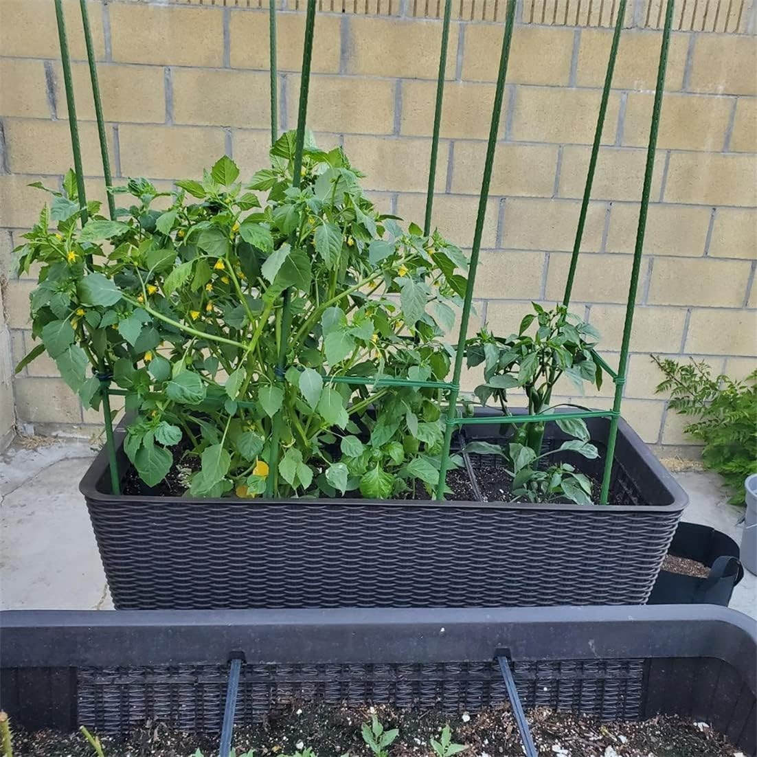(10er Set) 90cm Garten Pflanzen Stab Blumen Rankhilfe Tomaten Stütze Staudenhalter - Grün