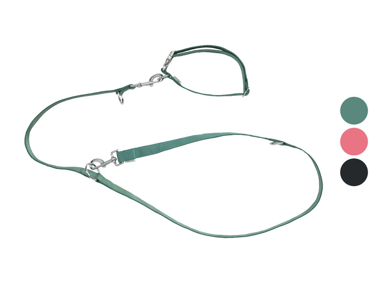 Hondenhalsband en riem