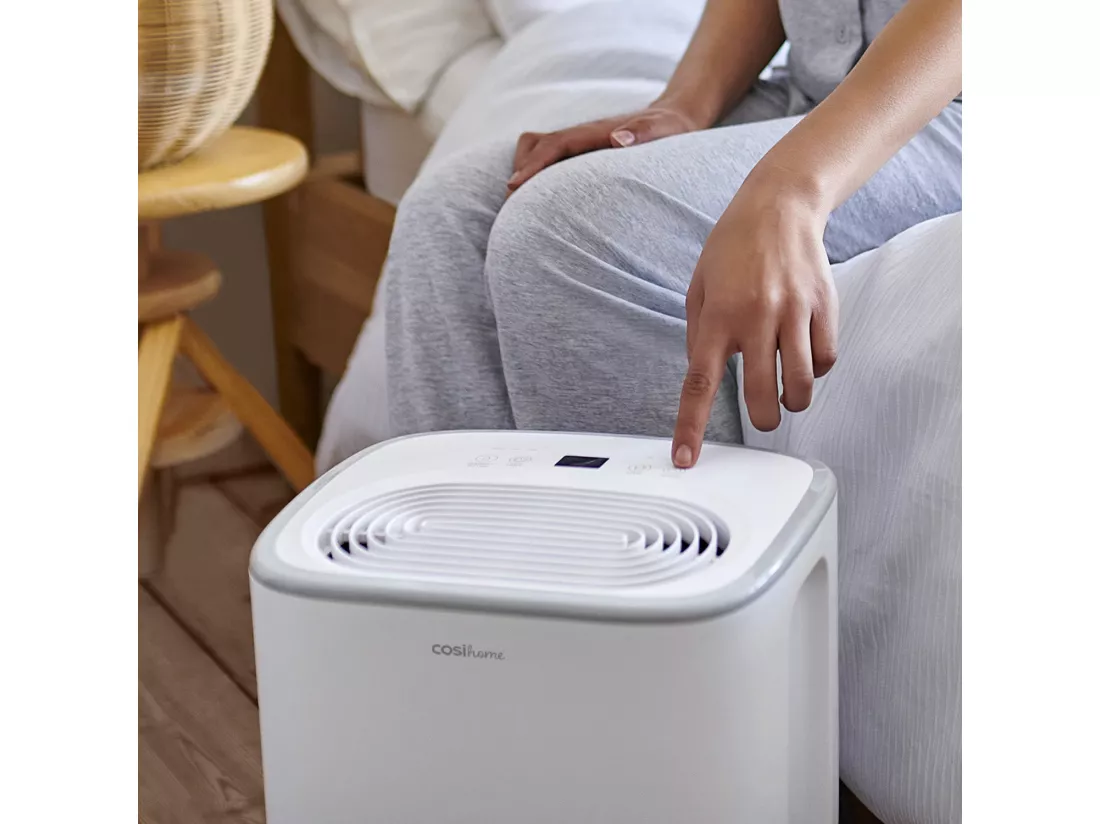 Pro Breeze Déshumidificateur économe en énergie 12 l avec réservoir d'eau de 2,5 l