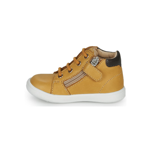 GBB - FOLLIO - Ocre