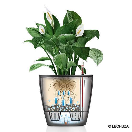 Pot Classico Premium en polypropylène, rouge Ø 21 cm
