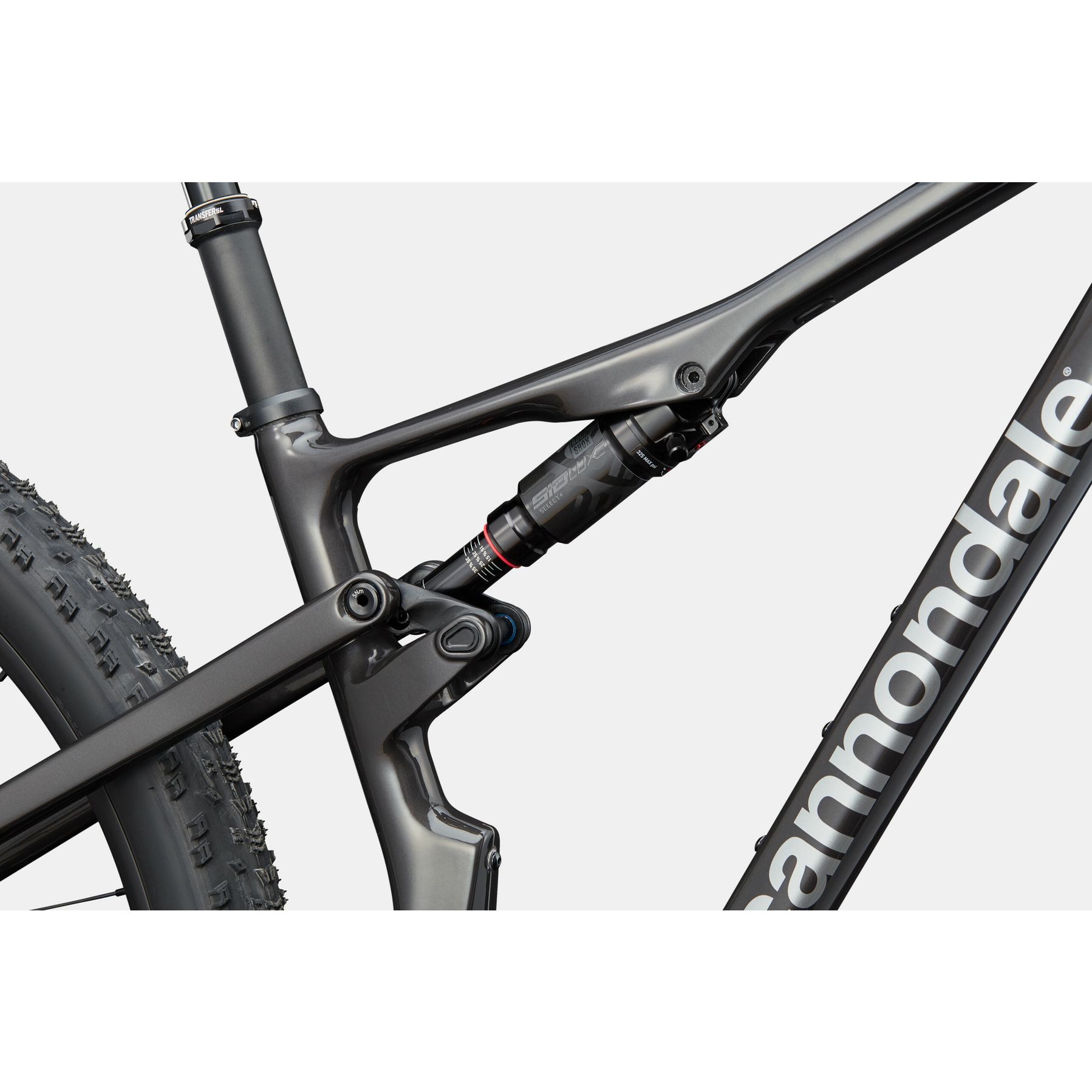 Cannondale Scalpel 2 Lefty 2026